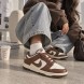 Унисекс кроссовки Nike Dunk Low Retro Brown