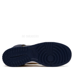 Nike Dunk Nike High Michigan (2020)