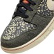 Унисекс кроссовки Nike Dunk Low Rainbow Trout