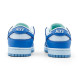 Унисекс кроссовки Nike Sb Dunk Low White Blue